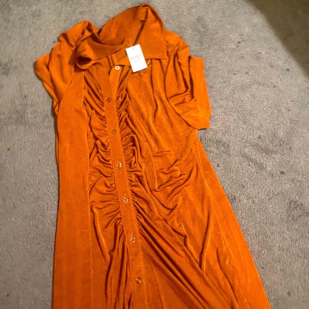 Golden Brown shimmer cinched dress with collar and button down